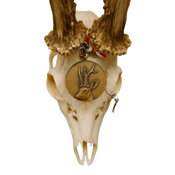 bronce