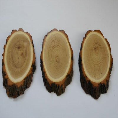 3 Stück Akazie Reh Bock Trophäenschild AF 19 cm Rehbock Baumscheibe Baumschild