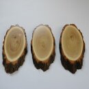 3 Stück Akazie Reh Bock Trophäenschild AF 19 cm Rehbock Baumscheibe Baumschild