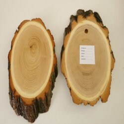 3 Stück Akazie Reh Bock Trophäenschild AF 19 cm Rehbock Baumscheibe Baumschild