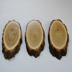 3 Stück Akazie Reh Bock Trophäenschild AF 19 cm Rehbock Baumscheibe Baumschild