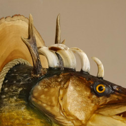 Fischkopf Wolpertinger Präparat Hecht Hörner mit Keilerzähnen Rehgeweih mit Baumscheibe taxidermy