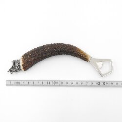Apribottiglie con corna di cervo Manico in corno di cervo con cappuccio decorativo Testa di cinghiale Testa di cinghiale GL 22 cm 27.19.6.38