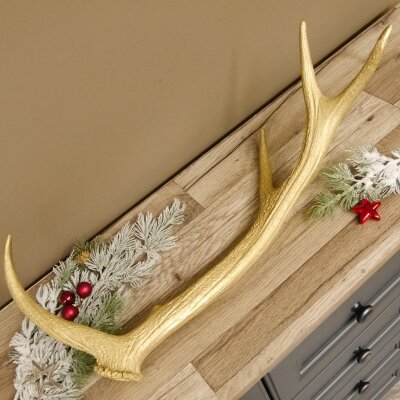 Rothirsch goldfarbig Länge 62 cm Hirsch Stange Abwurfstange 71.1.140