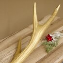 Rothirsch goldfarbig Länge 62 cm Hirsch Stange Abwurfstange 71.1.140