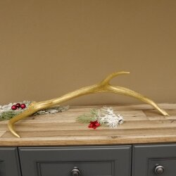 Rothirsch goldfarbig Länge 62 cm Hirsch Stange Abwurfstange 71.1.140