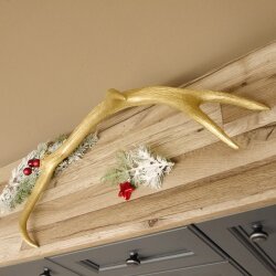 Rothirsch goldfarbig Länge 62 cm Hirsch Stange Abwurfstange 71.1.140