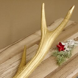 Rothirsch goldfarbig Länge 62 cm Hirsch Stange Abwurfstange 71.1.140