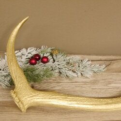 Rothirsch goldfarbig Länge 62 cm Hirsch Stange Abwurfstange 71.1.140