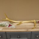 Rothirsch goldfarbig Länge 61 cm Hirsch Stange Abwurfstange 71.1.141