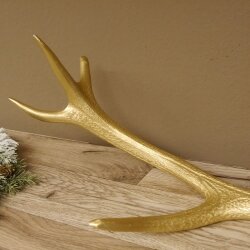 Rothirsch goldfarbig Länge 61 cm Hirsch Stange Abwurfstange 71.1.141