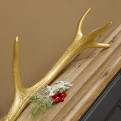 Rothirsch goldfarbig Länge 61 cm Hirsch Stange Abwurfstange 71.1.141