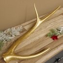 Rothirsch goldfarbig Länge 49 cm Hirsch Stange...