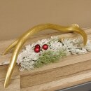 Rothirsch goldfarbig Länge 49 cm Hirsch Stange Abwurfstange 71.1.136