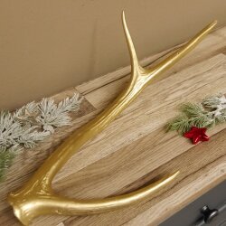 Rothirsch goldfarbig Länge 49 cm Hirsch Stange Abwurfstange 71.1.136