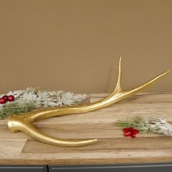Rothirsch goldfarbig Länge 49 cm Hirsch Stange Abwurfstange 71.1.136