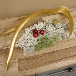 Rothirsch goldfarbig Länge 49 cm Hirsch Stange Abwurfstange 71.1.136