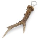 Décapsuleur Décapsuleur Bois de cerf Corne Corne de ramure Longueur 27 cm 27.1.419