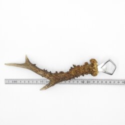 Décapsuleur Décapsuleur Bois de cerf Corne Corne de ramure Longueur 27 cm 27.1.419