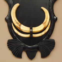 Warzenschwein Waffen 2 Paar Keiler Gewaffe Gewaff Zähne Afrika auf Trophäenschild Hauer max. 30 cm