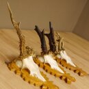 3 pieces of abnormal deer antlers on trophy boards Roe...