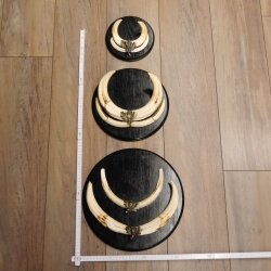 Warthog Weapons Set of 3 Tusks max. 14.2-25 cm Boar Weapons Africa Trophies Signs