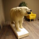 Eisbär Ganzpräparat Polarbär Bär Präparat mit Genehmigung zum Verkauf