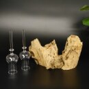 Schnapsanbieter 2 Gläser mit Stiel auf Wurzel Steckglas Set Schnaps Geschenk Neu 27.60.1.49