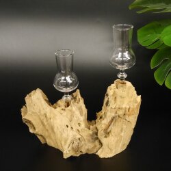 Schnapsanbieter 2 Gläser mit Stiel auf Wurzel Steckglas Set Schnaps Geschenk Neu 27.60.1.49