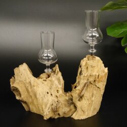 Schnapsanbieter 2 Gläser mit Stiel auf Wurzel Steckglas Set Schnaps Geschenk Neu 27.60.1.49