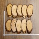 10 Stück Birkeschilder KF gebraucht AF 17-18 cm 10er...