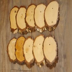 10 piezas de placas de abedul KF usadas AF 17-18 cm Juego de 10 placas para trofeos 51.10.14
