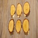 6 large birch shields, used, AF 21 cm, trophy shield set 51.10.15
