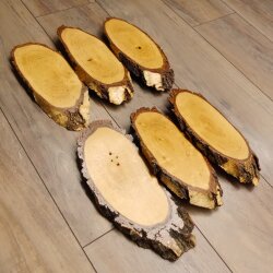6 large birch shields, used, AF 21 cm, trophy shield set 51.10.15