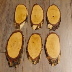 6 large birch shields, used, AF 21 cm, trophy shield set 51.10.15