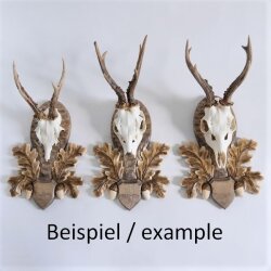 10 carved trophy plaques, roe deer, roebuck antlers (whole nose), tinted, GH 31 cm