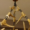 Geweihlampe aus 3 Elchschaufeln 6 flammig und Hirschrosen H 75 cm Jagdmotiv Lampe Geweih Leuchte