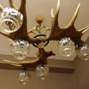 Geweihlampe aus 3 Elchschaufeln 6 flammig und Hirschrosen H 75 cm Jagdmotiv Lampe Geweih Leuchte