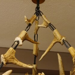 Geweihlampe aus 3 Elchschaufeln 6 flammig und Hirschrosen H 75 cm Jagdmotiv Lampe Geweih Leuchte