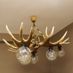 Geweihlampe aus 3 Elchschaufeln 6 flammig und Hirschrosen H 75 cm Jagdmotiv Lampe Geweih Leuchte