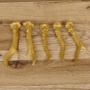 5 Rehstangen Goldfarben Gehörne Rehgeweihe Geweih Stangen Stange 14.3.116