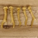 5 Rehstangen Goldfarben Gehörne Rehgeweihe Geweih Stangen Stange 14.3.116