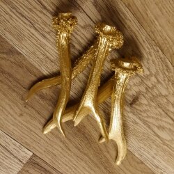 5 Rehstangen Goldfarben Gehörne Rehgeweihe Geweih Stangen Stange 14.3.116