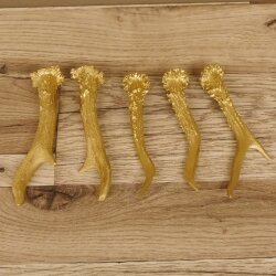5 Rehstangen Goldfarben Gehörne Rehgeweihe Geweih Stangen Stange 14.3.116