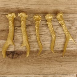 5 Rehstangen Goldfarben Gehörne Rehgeweihe Geweih Stangen Stange 14.3.116