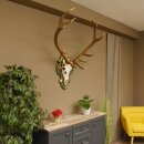 Rothirsch ungerader 12 ender Höhe 118 cm Hirschgeweih Hirsch Barockschild grün gold
