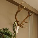 Rothirsch ungerader 12 ender Höhe 118 cm Hirschgeweih Hirsch Barockschild grün gold