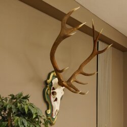 Rothirsch ungerader 12 ender Höhe 118 cm Hirschgeweih Hirsch Barockschild grün gold
