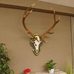 Rothirsch ungerader 12 ender Höhe 118 cm Hirschgeweih Hirsch Barockschild grün gold