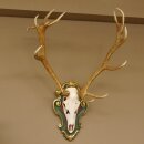 Rothirsch ungerader 14 ender Höhe 117 cm Hirschgeweih Hirsch Barockschild grün gold